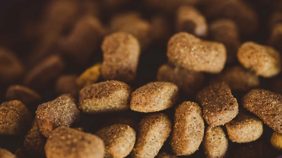 Croquetas marrones en primer plano sobre un fondo oscuro