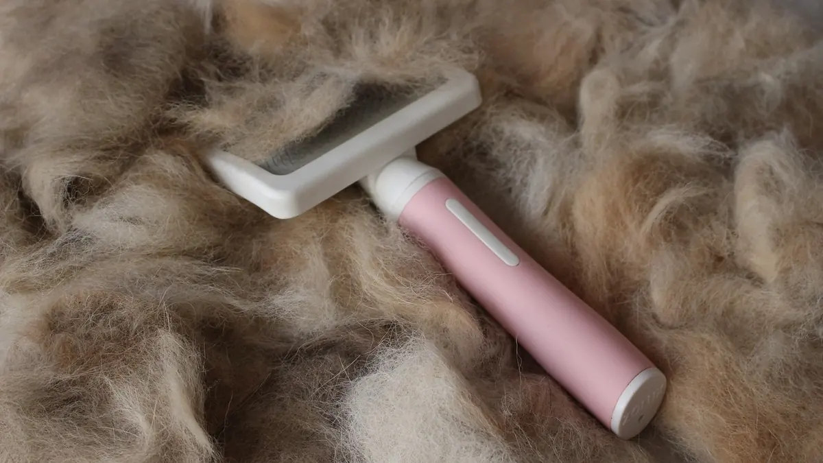 Una carda de mango rosa y cabeza plana sobre un montón de pelo suelto de perro