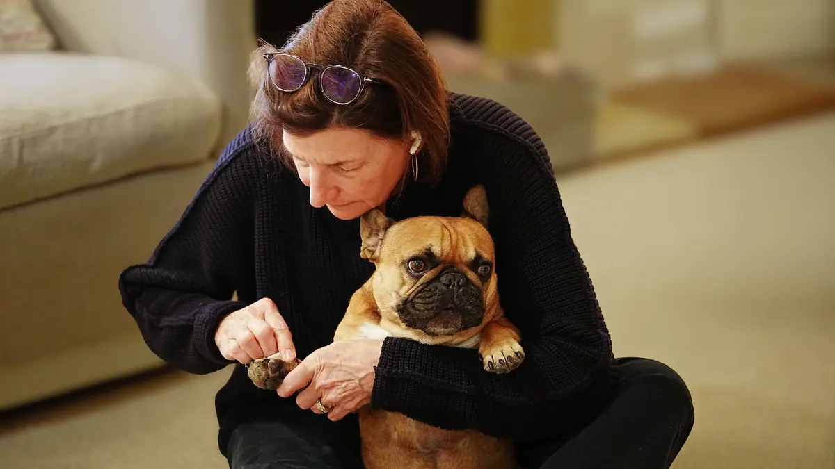 Una mujer sentada en una alfombra abraza a un bulldog francés y le sostiene una pata entre las manos, mirándola de cerca