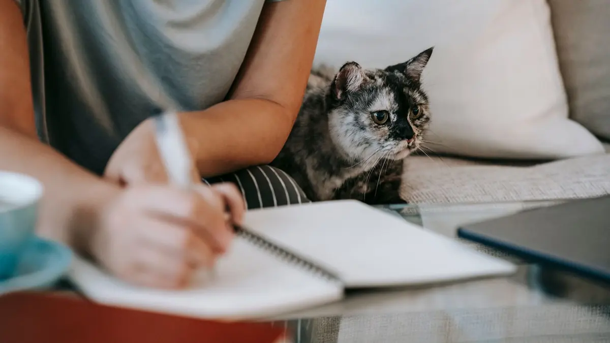 Una mujer escribe en un cuaderno mientras un gato carey la mira desde el sillón