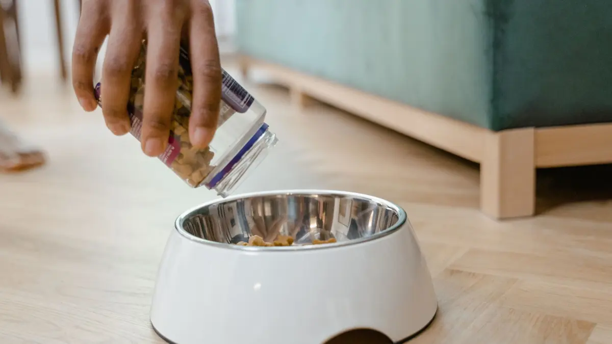Una mano vuelca galletas para perros de un frasco transparente a un plato blanco con interior de acero, sobre un piso de madera