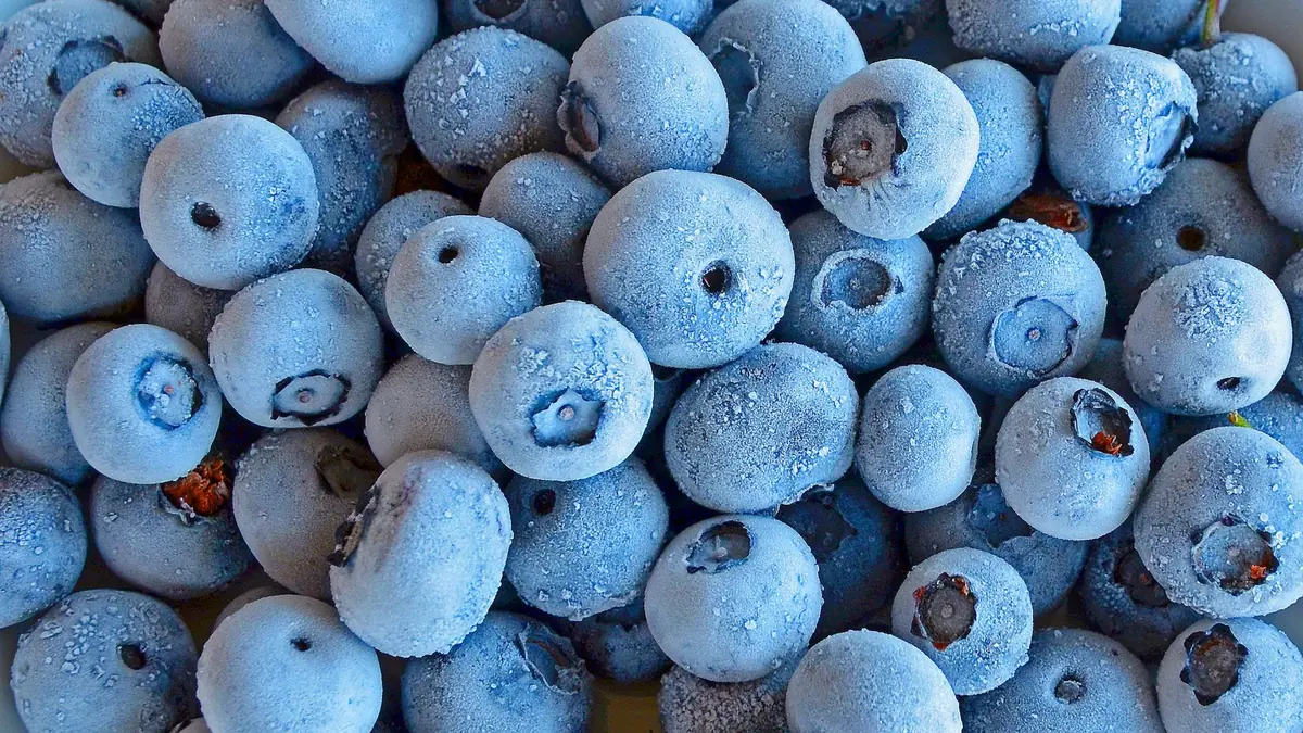 Arándanos congelados, de un azul claro, cubiertos de escarcha