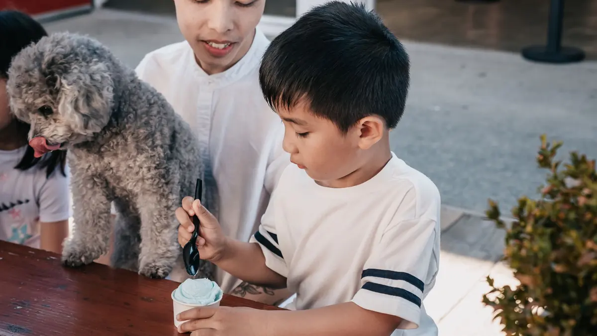 Un perro de pelo rizado y gris apoya las patas en una mesa de madera, junto a un niño que se dispone a comer helado de un vaso
