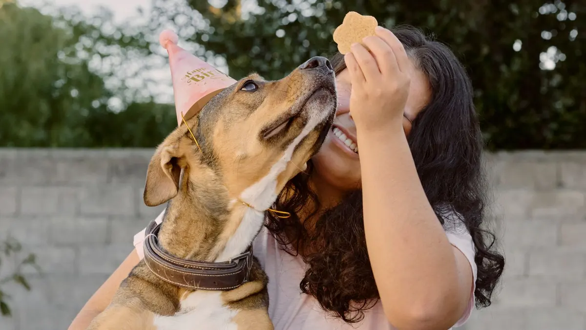 Una mujer abraza a su perro, que lleva un gorro de cumpleaños, y levanta una galleta pequeña junto a su hocico