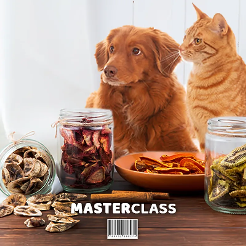 Portada del curso, con un perro de pelo rojizo y un gato naranja detrás de frascos de fruta deshidratada y de un plato de rodajas secas de naranja