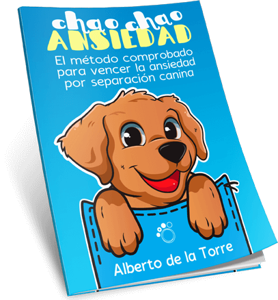 MÃ©todo comprobado para eliminar la ansiedad por separaciÃ³n en perros y lograr que disfruten quedarse solos en casa.