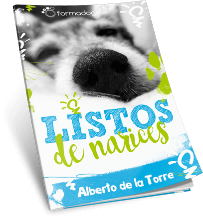 Ejercicios de olfato para estimular la mente y el bienestar de tu perro.