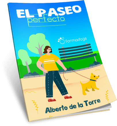 GuÃ­a prÃ¡ctica sobre los tres tipos de paseos que tu perro necesita para ser feliz y equilibrado.