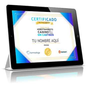Certificado como profesional en Adiestramiento canino sin castigos avalado por Alberto de la Torre