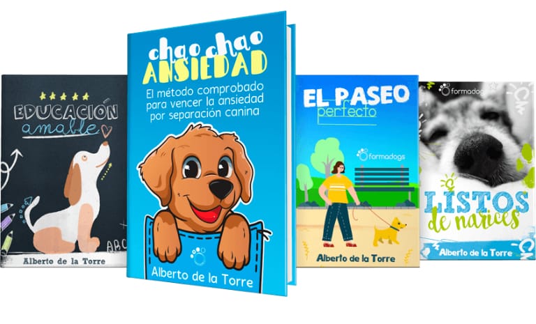 Chao Chao ansiedad de Alberto de la Torre