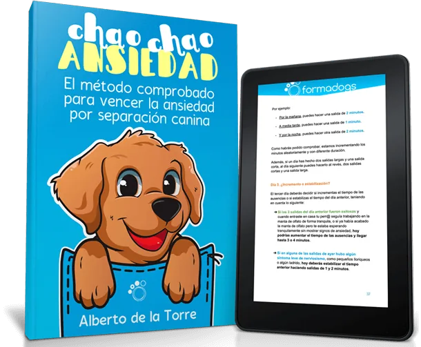 Chao Chao ansiedad