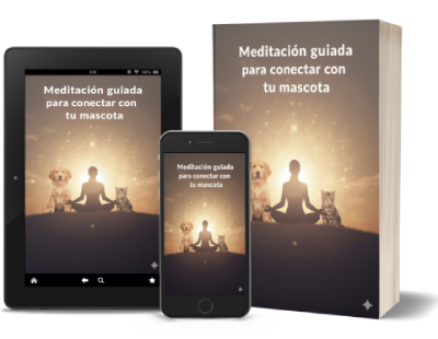 Meditación para Conectar con tu Mascota