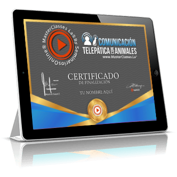 Certificado como profesional en Comunicación telepática con Mascotas avalado por Jimena García
