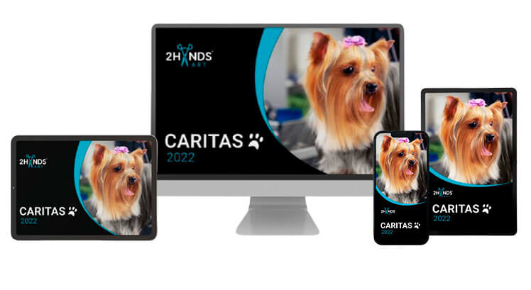 Cortes de Caritas para Shih Tzu y Yorky de Fabio Gomez Sepulveda
