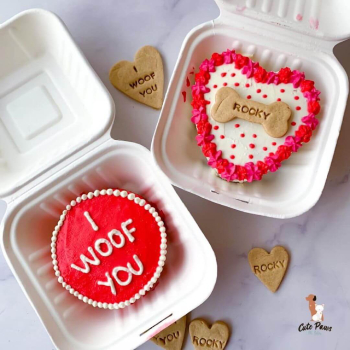 Muestras de Cupido también es Petfriendly