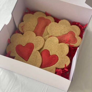 Muestras de Cupido también es Petfriendly