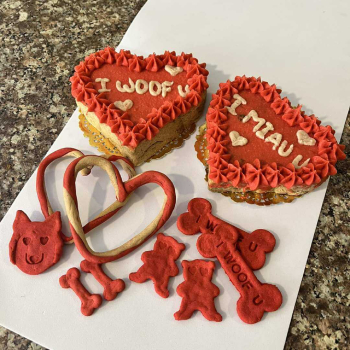 Muestras de Cupido también es Petfriendly
