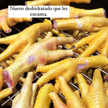 Muestras de Deshidratados