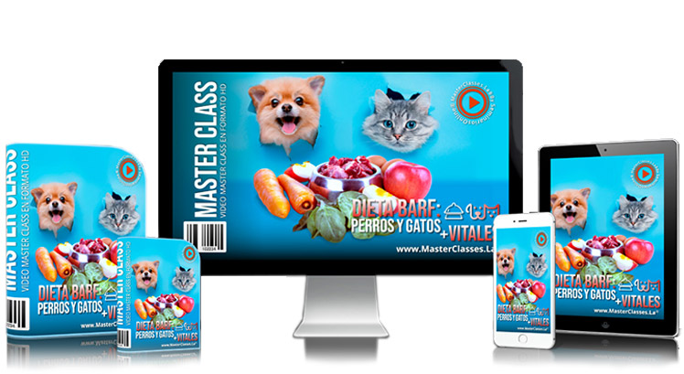 Dieta Bart, Perros y Gatos más Vitales de Alejandro Quiceno