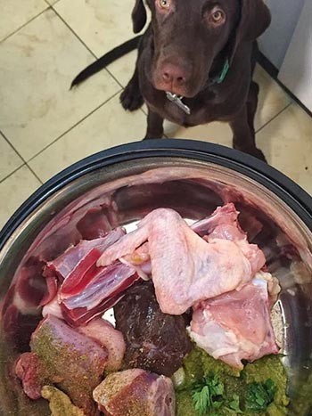 Muestras de Dieta Bart, Perros y Gatos más Vitales