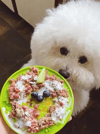 Muestras de Dieta Bart, Perros y Gatos más Vitales