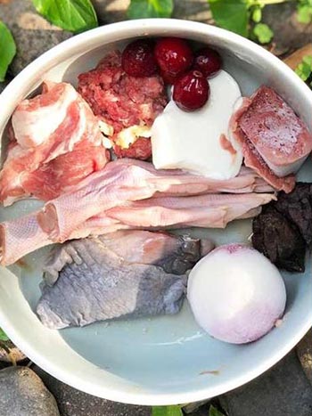Muestras de Dieta Bart, Perros y Gatos más Vitales