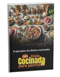8 menÃºs cocinados reales listos para poner en prÃ¡ctica hoy mismo.