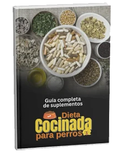 GuÃ­a esencial de suplementos con usos y beneficios paso a paso.