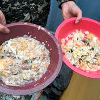 Muestras de Dietas cocinadas para perros
