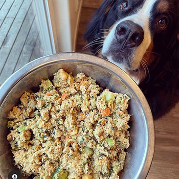 Muestras de Dietas cocinadas para perros