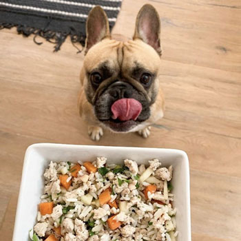 Muestras de Dietas cocinadas para perros