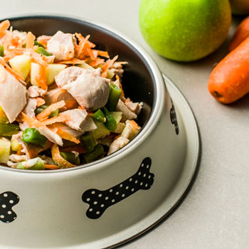 Muestras de Dietas cocinadas para perros
