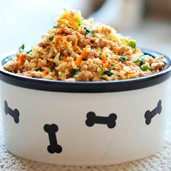 Muestras de Dietas cocinadas para perros