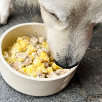 Muestras de Dietas cocinadas para perros