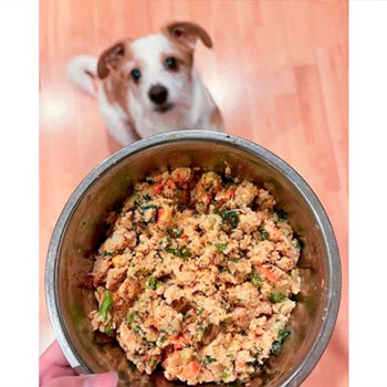 Muestras de Dietas cocinadas para perros