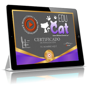 Certificado como profesional en EduCat avalado por Enit Suarez