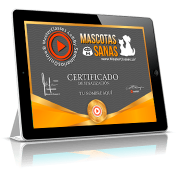 Certificado como profesional en Mascotas Sanas avalado por Diana Fonseca