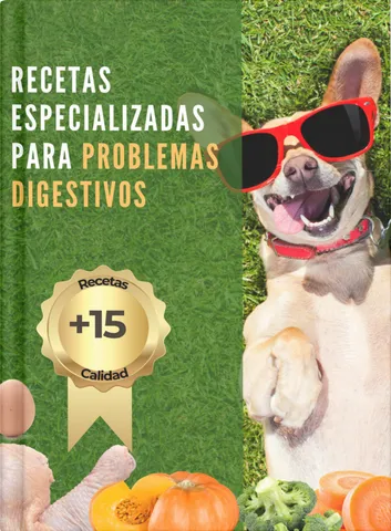 Recetas especializadas para perros con problemas digestivos