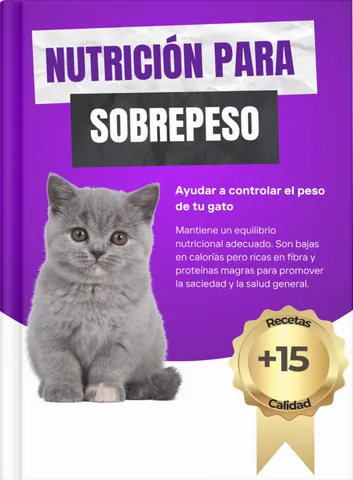 Recetas especializadas para gatos con sobre-peso