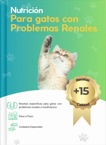 Recetas para gatos con problemas renales