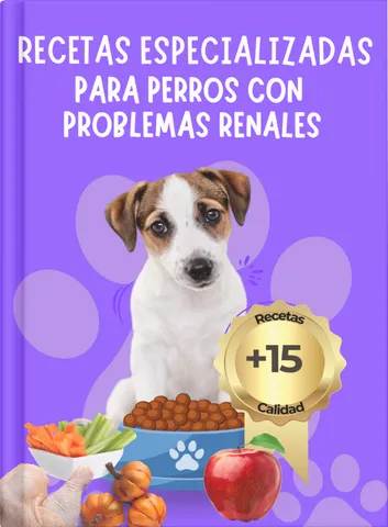 Recetas especializadas para perros con problemas renales