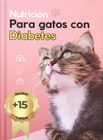 Recetas especializadas para gatos con diabetes
