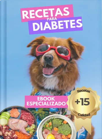 Recetas especializadas para perros con diabetes