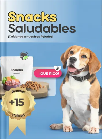 Snacks saludables para perros