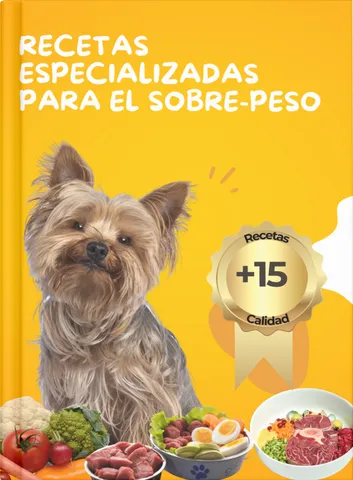 Recetas especializadas para perros con sobre-peso