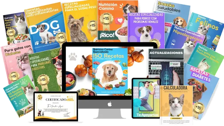 Mega Pack +450 Recetas Saludables para Perros y Gatos de Petz School
