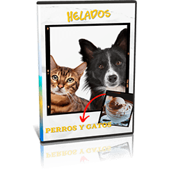 Aprende hacer ricos y deliciosos helados para tus mascotas.