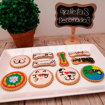 Muestras de Pasteleria Canina y Felina
