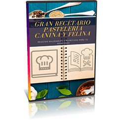 Recetario con ideas para consentir a tu mascota sin necesidad de horno.