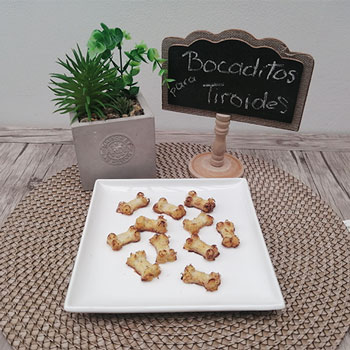 Muestras de Pastelería inclusiva, perros y gatos enfermos